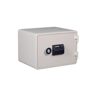 Sun Datasafe Electronic DES 020